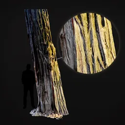 "Highly-detailed 3D render of an oak tree trunk, captured through photo scanning technology. A man stands next to the tree, revealing the intricate textures of the wood, enhanced by rear and filtered lighting in a realistic landscape setting. Perfect for use in Blender 3D software."