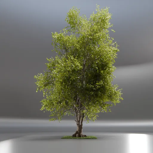 Tree Jungle