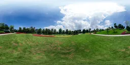 Daytime red flowers 16k