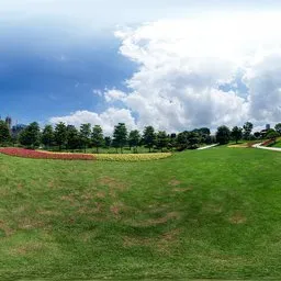 Daytime red flowers 16k