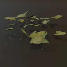 Ground Cover Ear Leaves GN