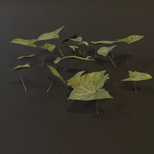 Ground Cover Ear Leaves GN