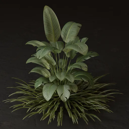 SJ-Large Leaf Garden Plant