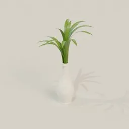 Minimalist Potted Plant in White Vase
