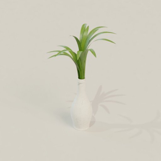 Plant in vase