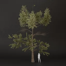 SJ-Misty Green Pine Tree
