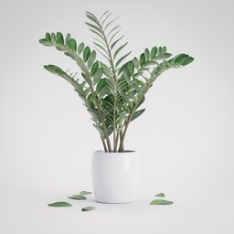 Indoor Plant with leaves on floor