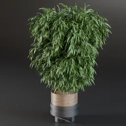 MK-Indoor plant 01