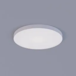 ceiling lamp simple rounded