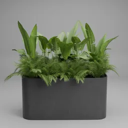Garden Planter Arrangements