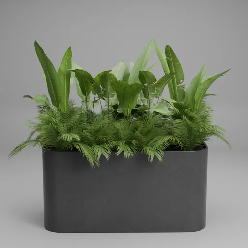 Garden Planter Arrangements