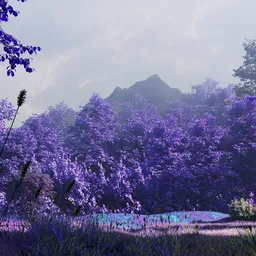 Landscape