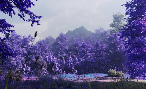 Landscape
