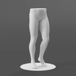 Male Mannequin Legs