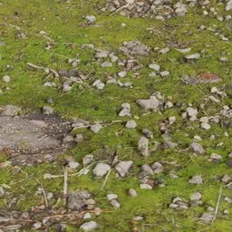 Highly detailed 3D mossy ground texture with photorealistic rocks and moss, suitable for Blender rendering.