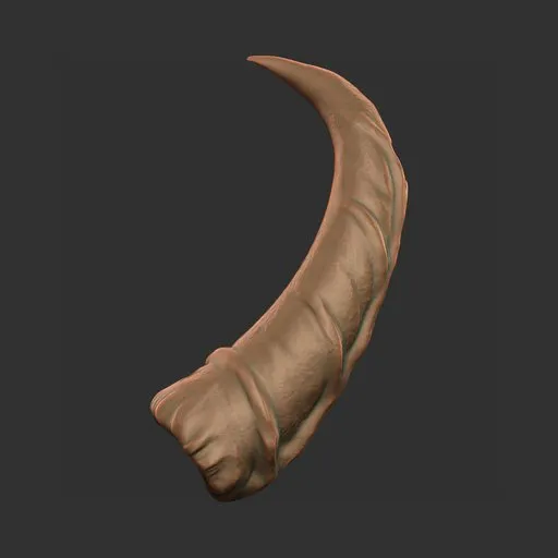 Ribbed Crescent Horn