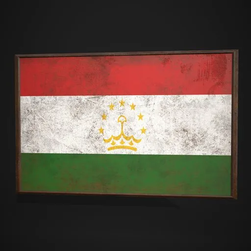 Tajikistan Flag Picture Frame