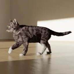 Domestic cat, rigged