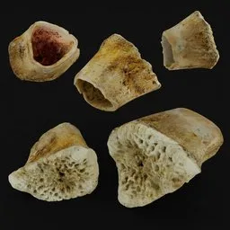 Bone