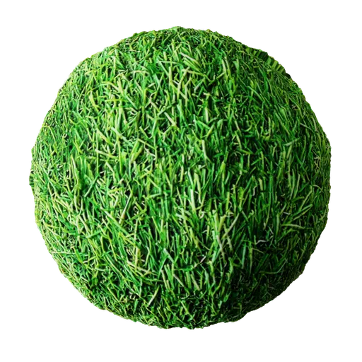 Grass
