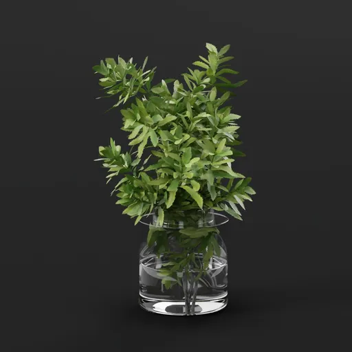 Plant
