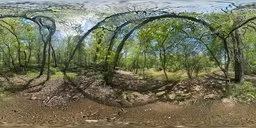 Vibrant 360-degree HDR panorama capturing sunlight through trees by a serene river, ideal for realistic 3D scene lighting.