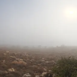 Kloofendal 28d Misty