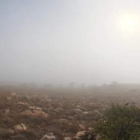 Kloofendal 28d Misty
