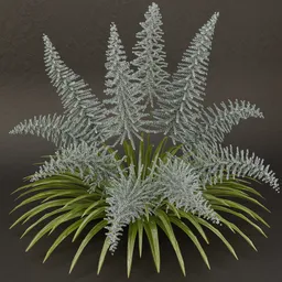 SJ-Celestial Drift Shrub