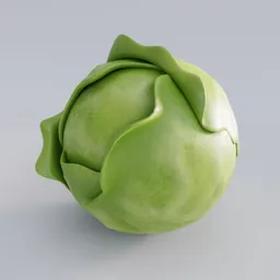 High-detail 3D model of a green cabbage with stylized textures, suitable for Blender rendering.