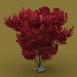 Red leaved bush with side rocks