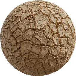 Mud Cracked Dry 03