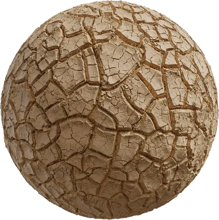 Mud Cracked Dry 03
