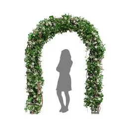 Climbing Roses Garden Bow White