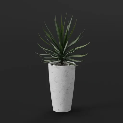 Plant
