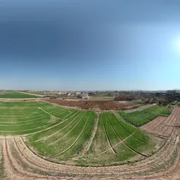Green farmland sunshine