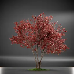 Tree Ruby Slippers Animated