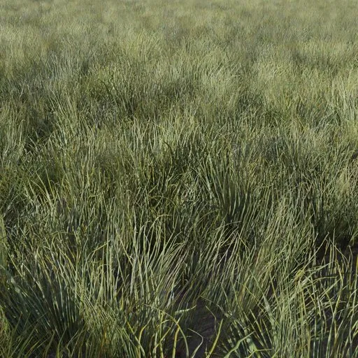 Realistic 3D grass model optimized for Blender, game-ready for environmental rendering.
