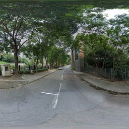 Green Tree Street Road