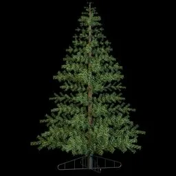 Christmas pine tree