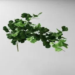 Detailed 3D model of ginkgo-inspired tendril, editable in Blender, with geometry nodes.
