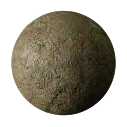 Wet ground with leafs