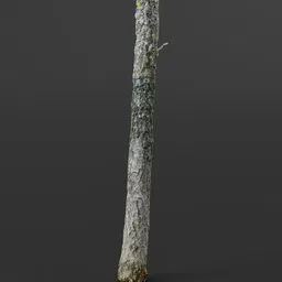 Realistic 3D tree model with detailed bark texture, optimized for Blender, suitable for virtual environments.
