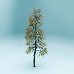 High-detail autumnal 3D tree model suitable for Blender outdoor plant scenes.