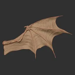 Hooked Dragon Wing
