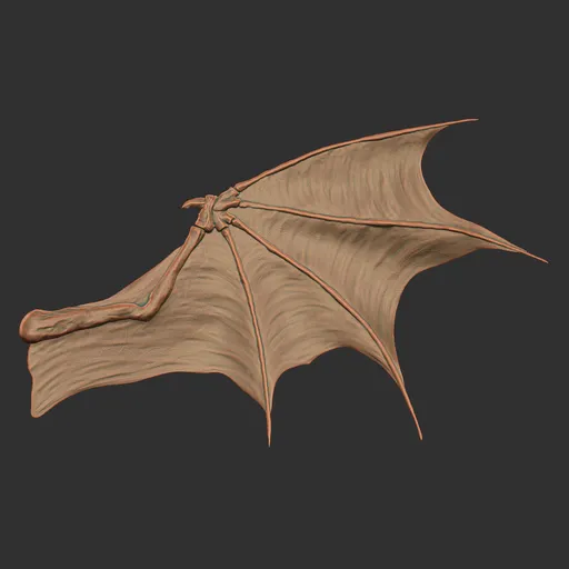 Hooked Dragon Wing