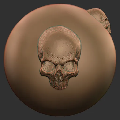 Skull Three Quarter View