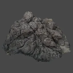 "Rugged Coastal Rocks Photoscan 3D model for Blender 3D: A close-up of rocks on the West Coast of the Pacific Ocean with a perched bird. High-quality debris and coal textures, created with Substance Designer height map. Perfect for environmental elements in large-scale 3D animations."