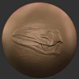 ER_Fossil Brush-Dinosaur Fossils