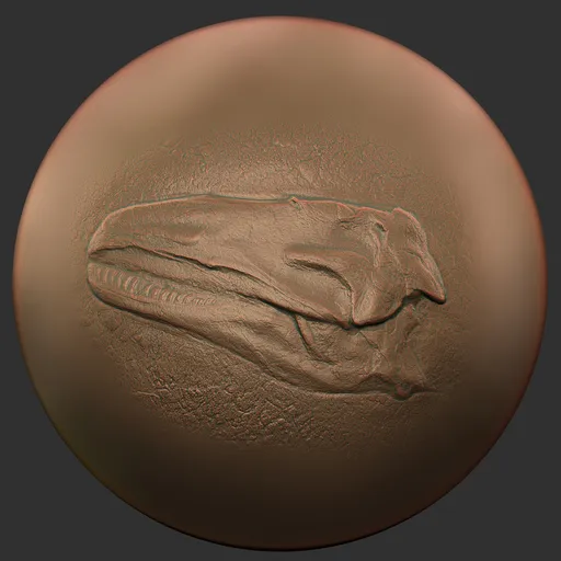 ER_Fossil Brush-Dinosaur Fossils
